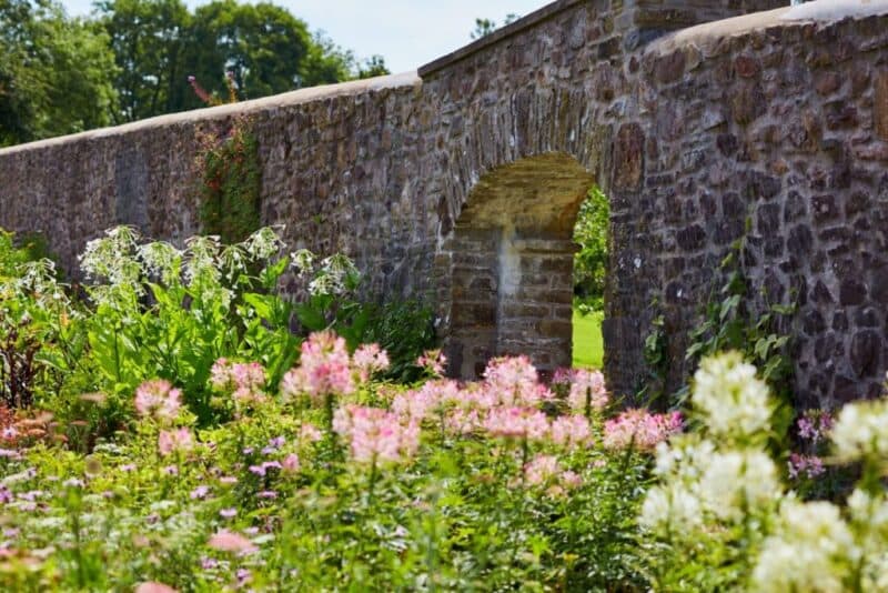 rock tunnel bridge and flowers