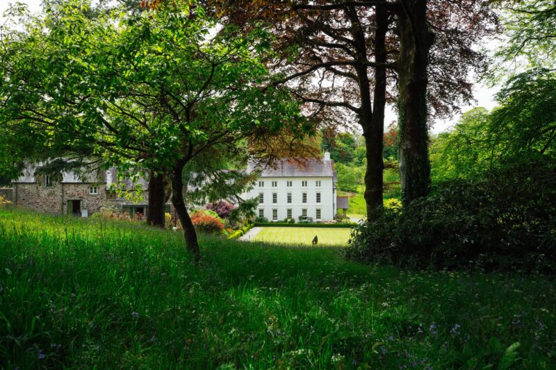 Grove seen past trees and flowers
