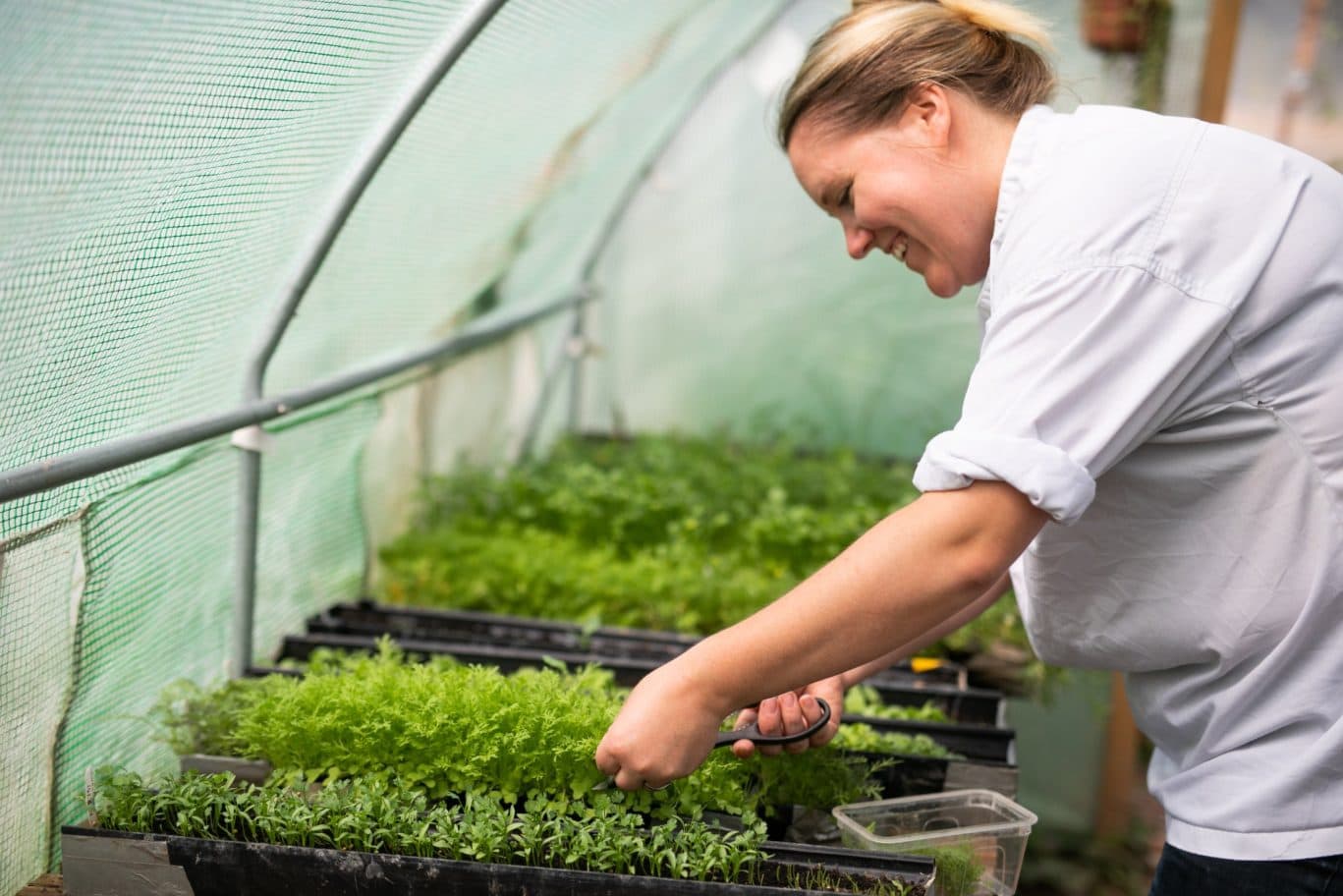 The Grove – Garden images, Owen Howells Photography-0220