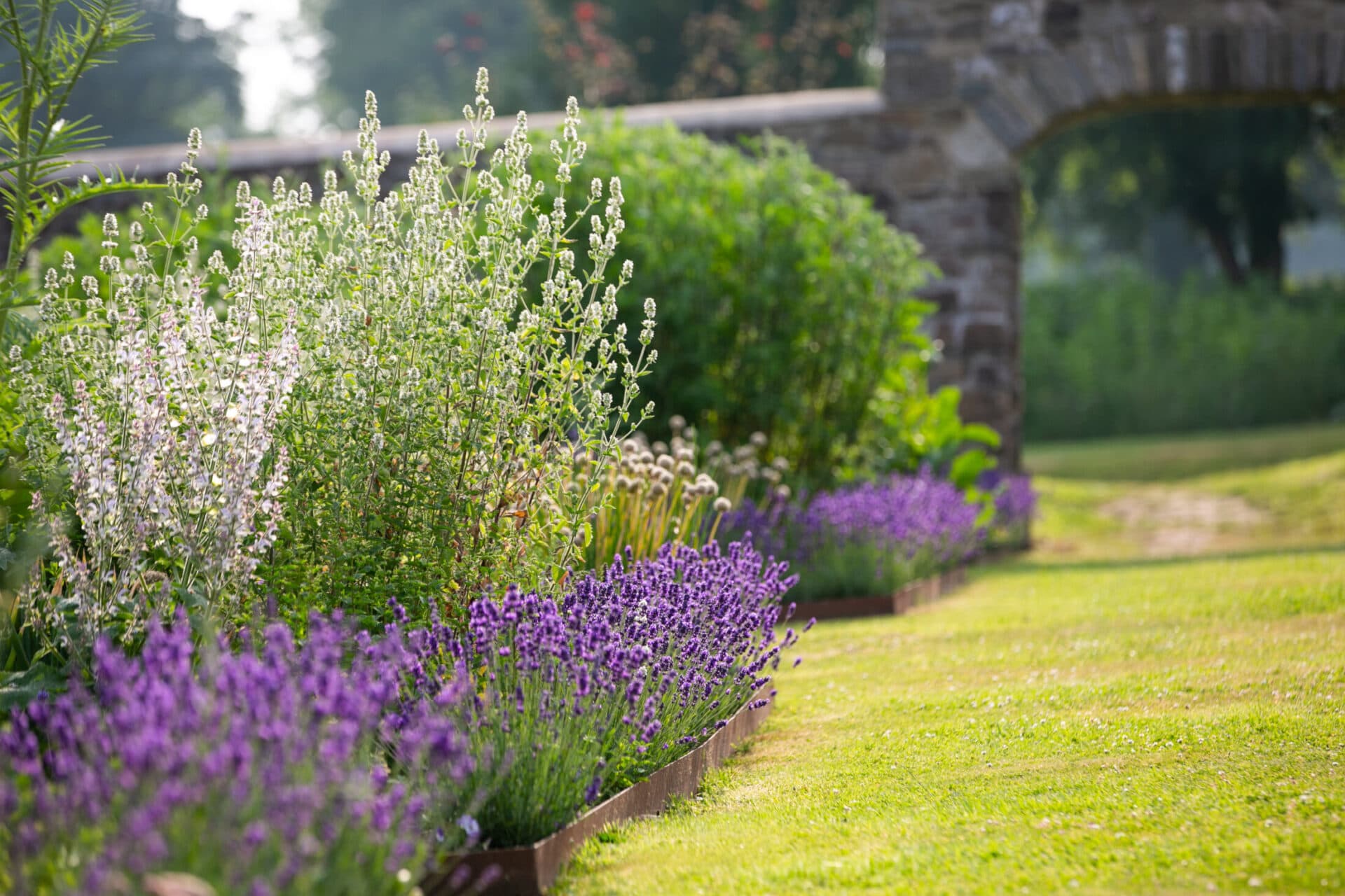 grove garden and flowers