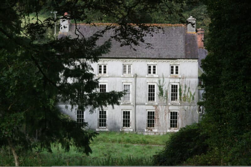 Grove seen past trees and grass