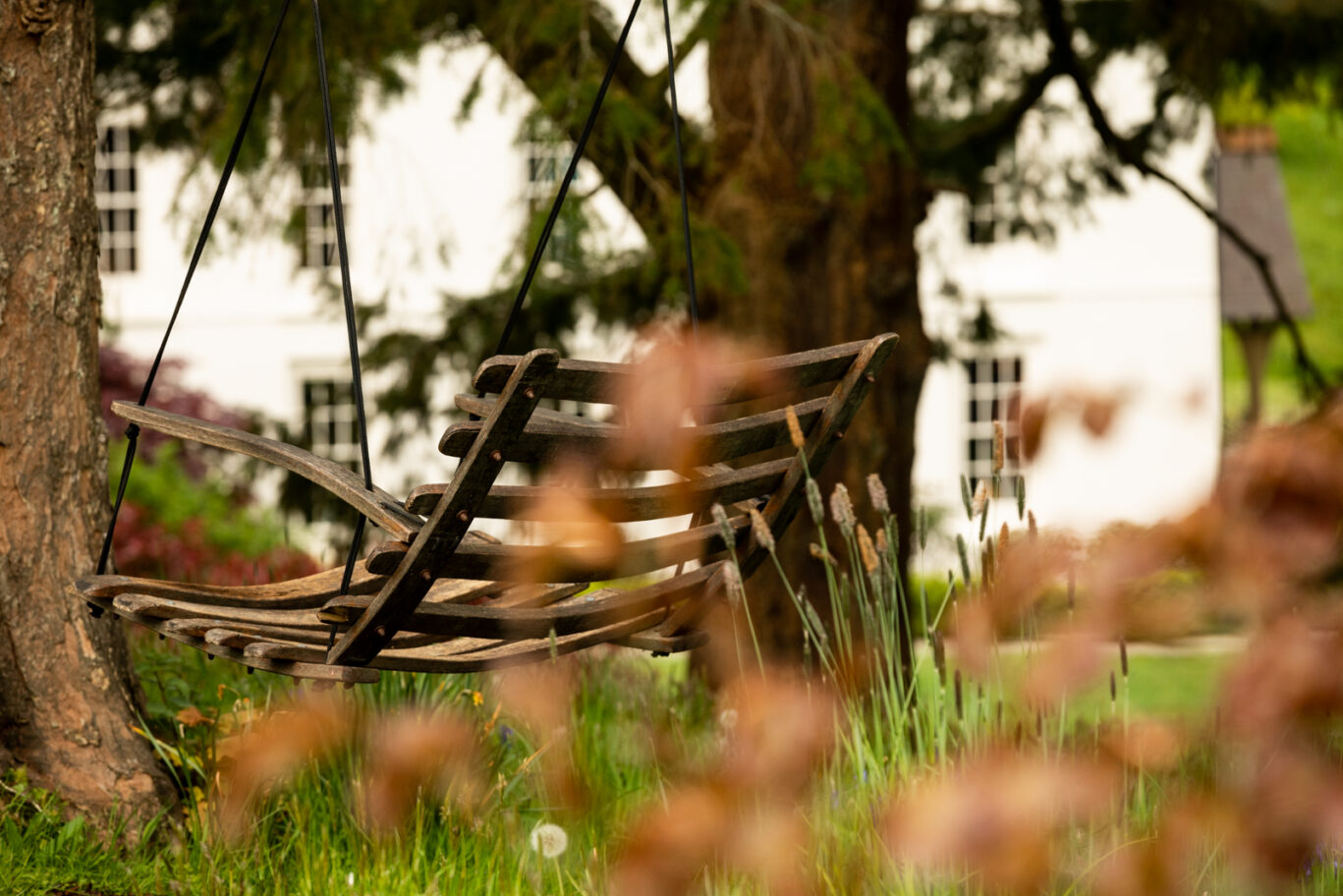 Grove at Spring time
