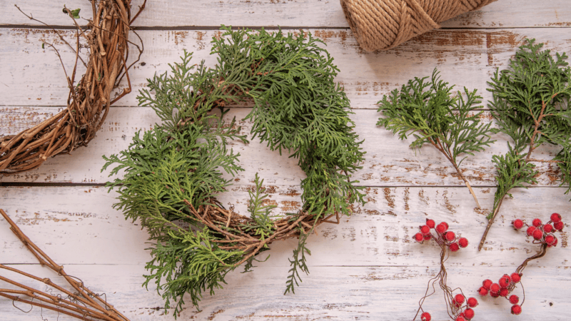 Welcome to our Welsh country house