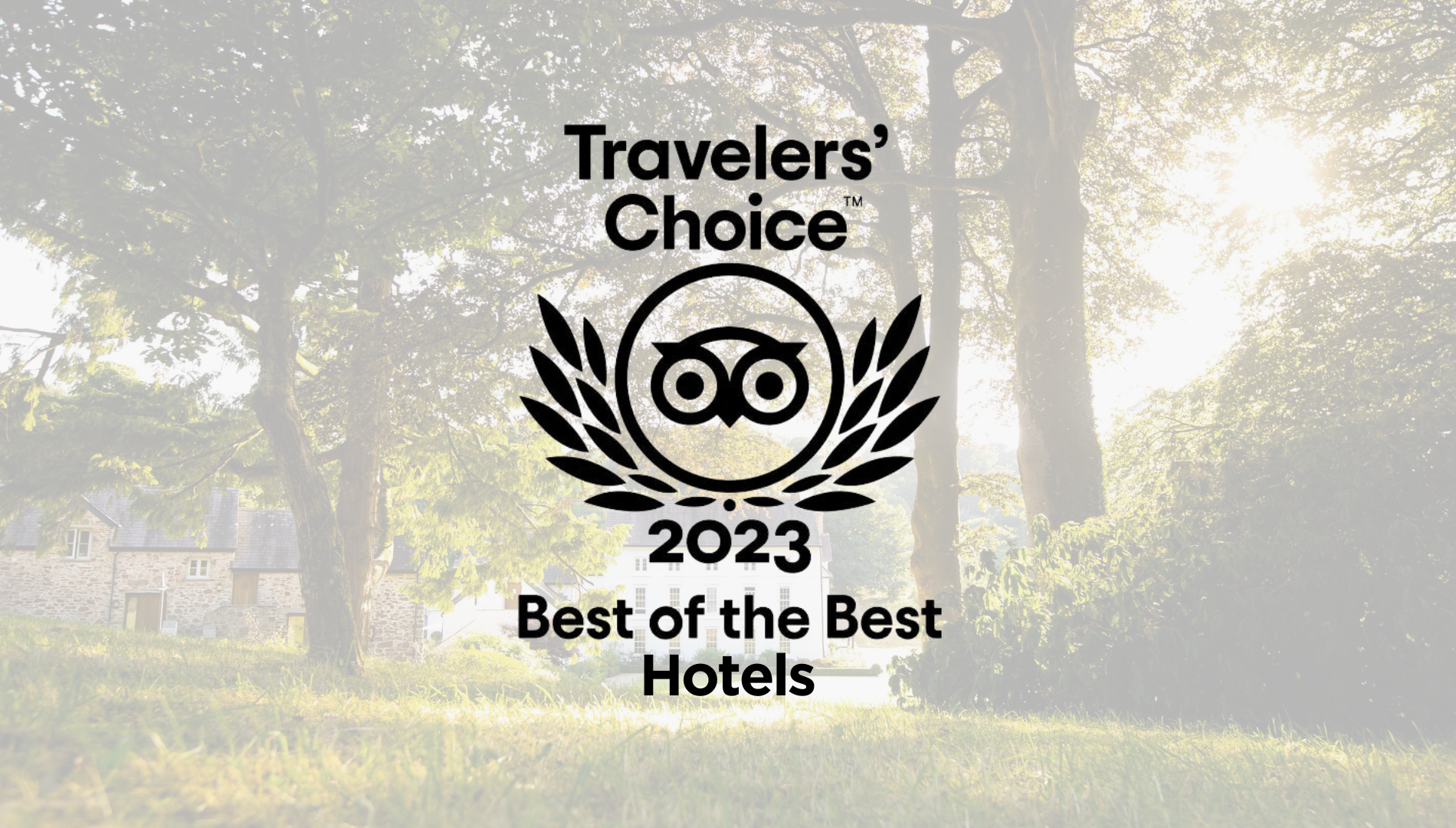 Best Hotels of 2023 - Tripadvisor Travelers' Choice Awards