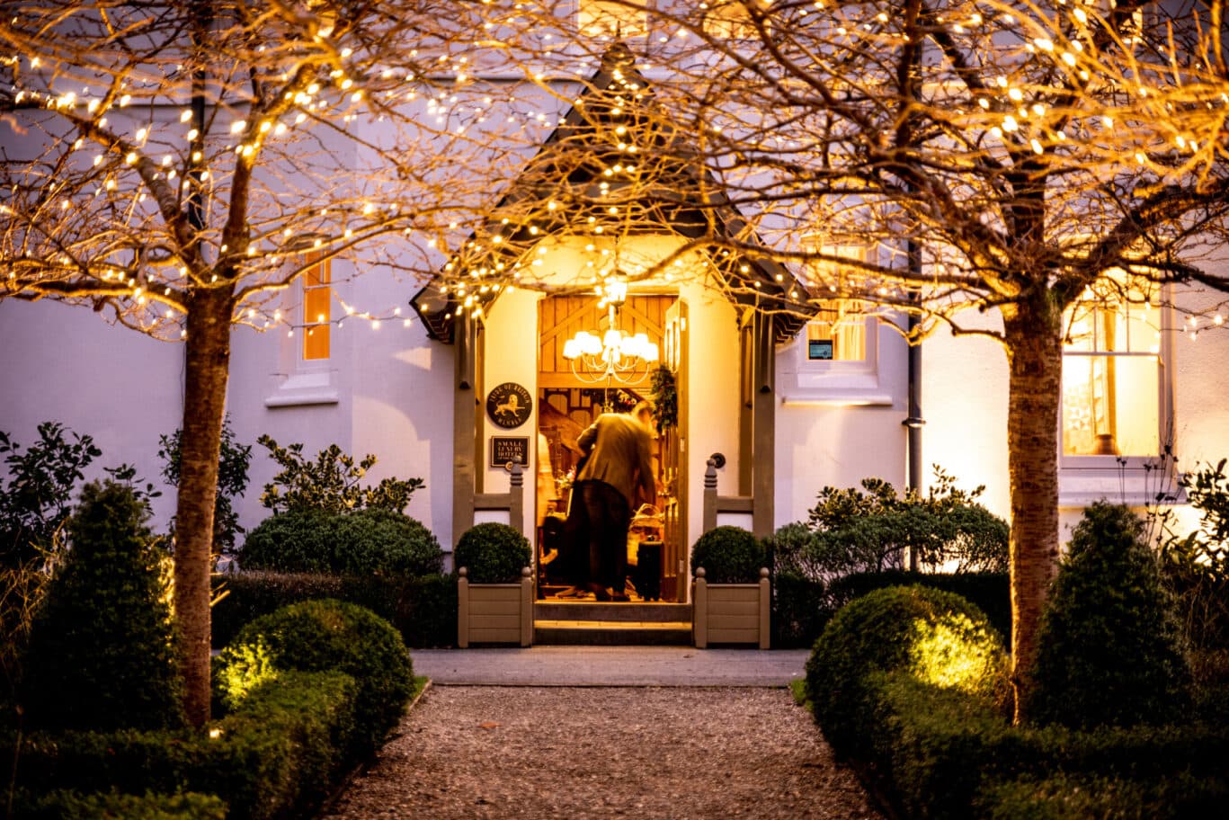 Grove entrance – Winter