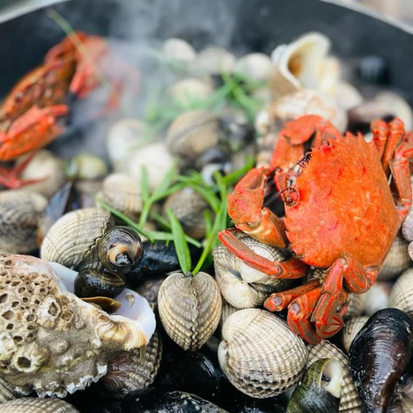 foragingclassic-course