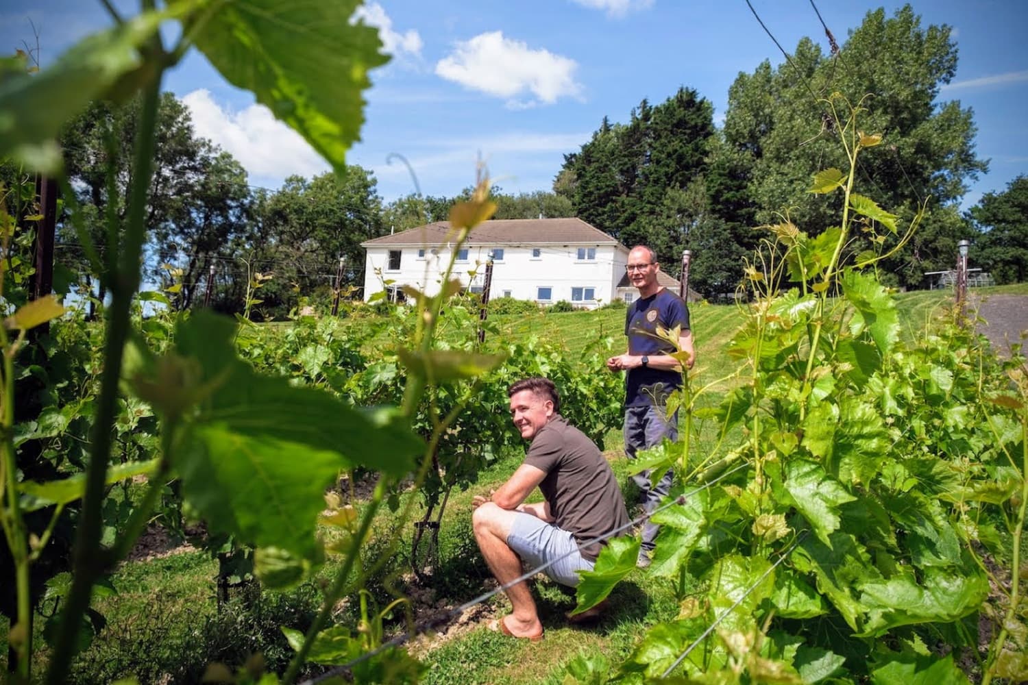 velfrey_vineyard_robbie