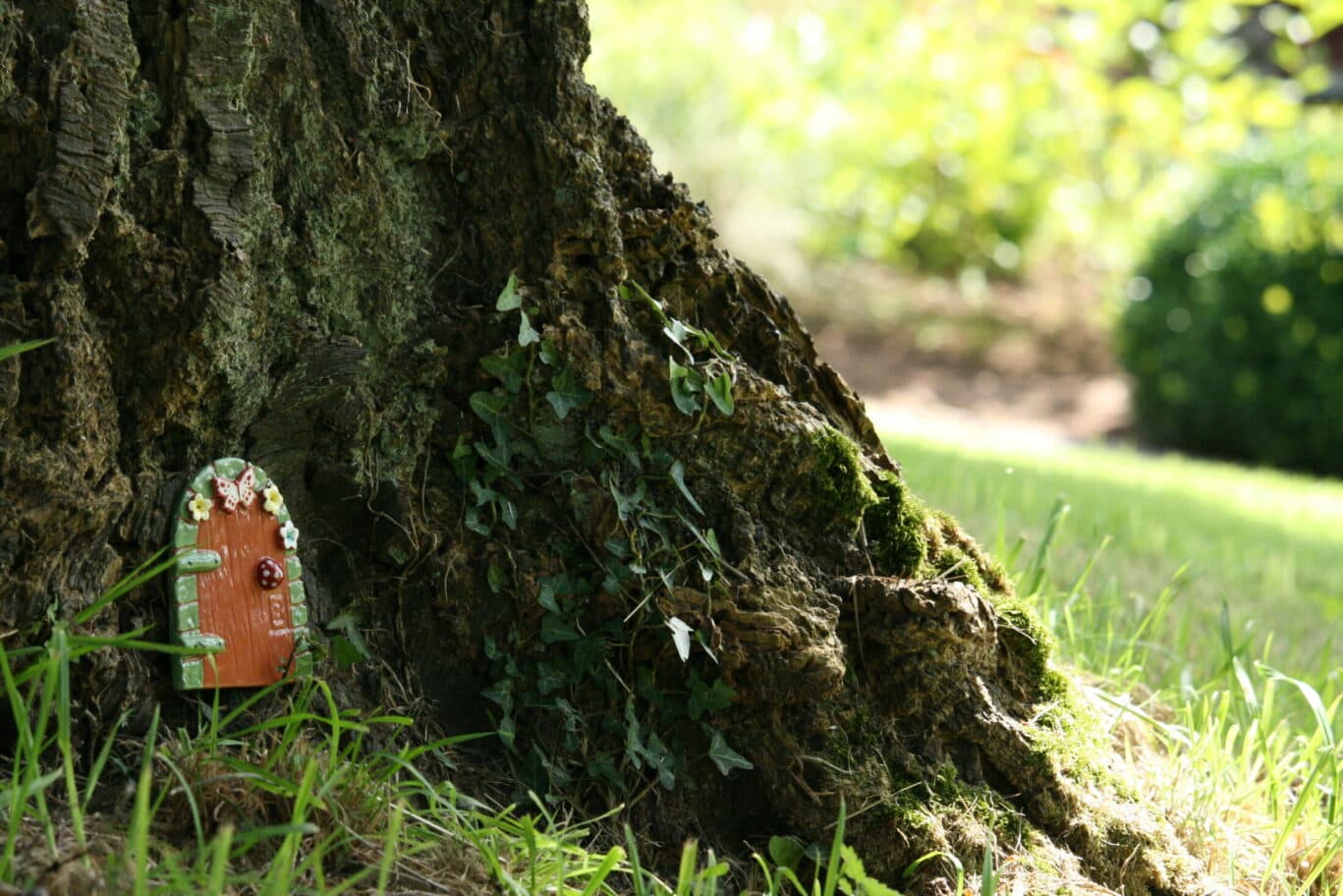 Fairy doors in the Grove woods