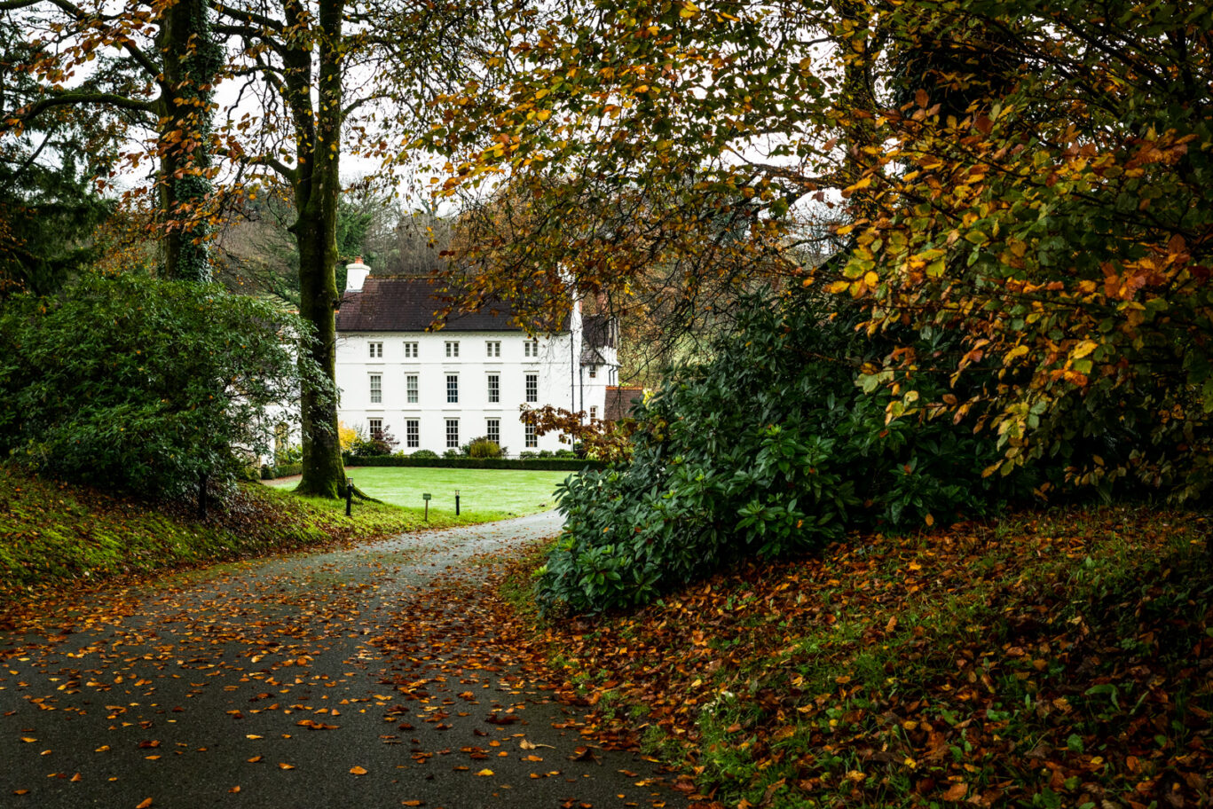 GroveLeaves-009
